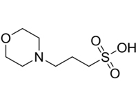 3-(N-嗎啡啉)丙磺酸，99%