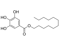 沒食子酸月桂酯，99%（HPLC)