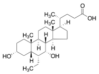 6-乙基鵝去氧膽酸，98%
