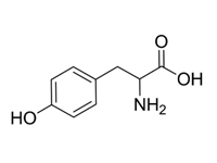 DL-酪氨酸，98%