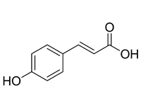 對(duì)羥基肉桂<em>酸</em>，98%（HPLC）